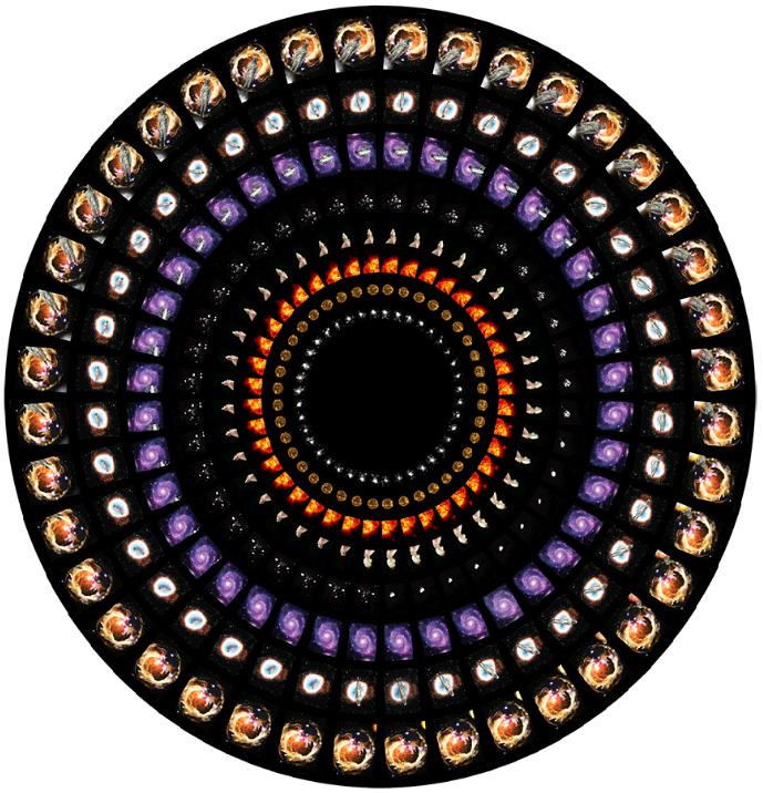 CosmoscopeWhole