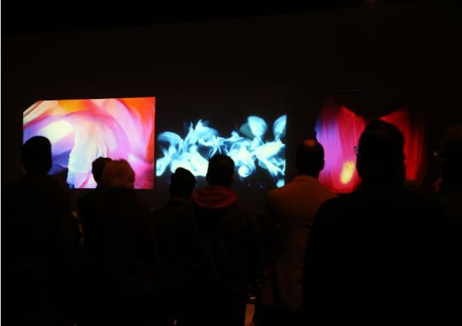 loieaudience2a