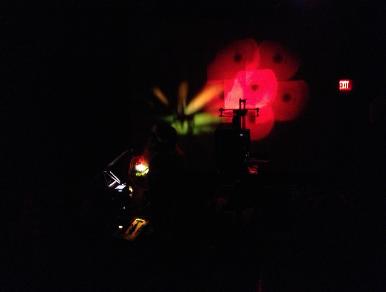 TripWilson4