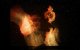 VELVETNEW4